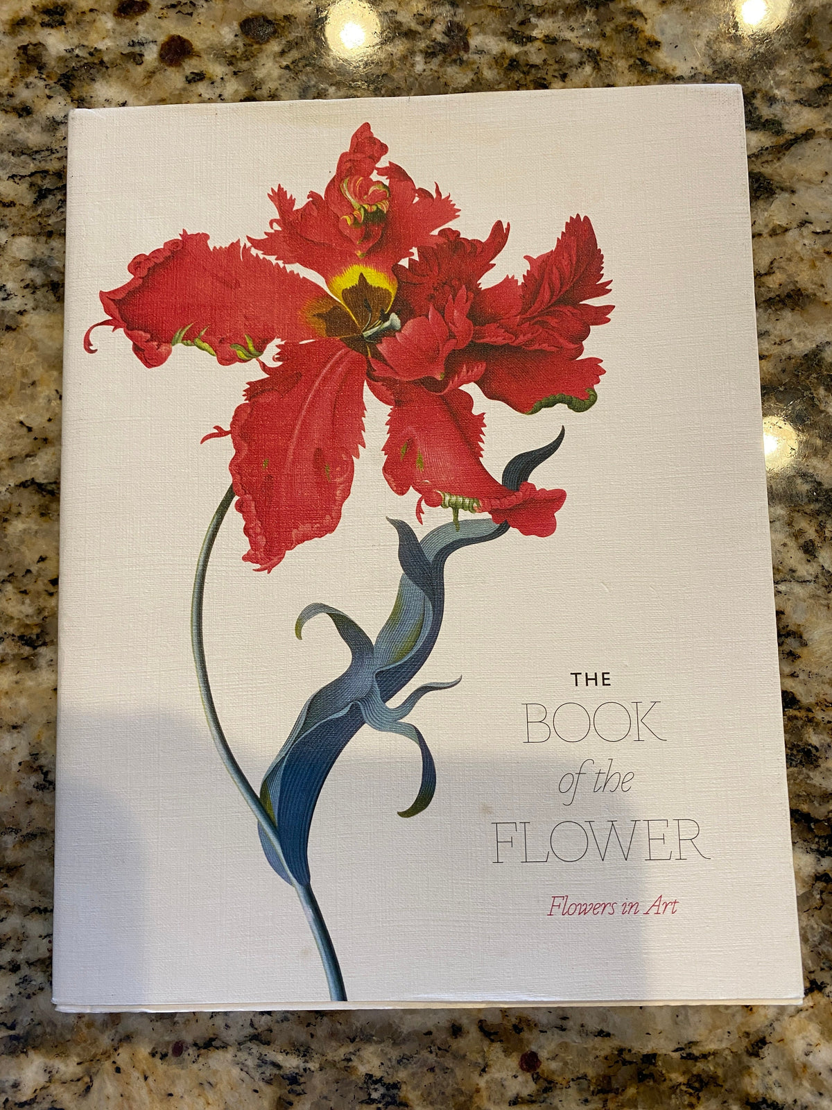 The Book of the Flower: Flowers in Art - Paperback By Hyland, Angus Valentines Day Gift