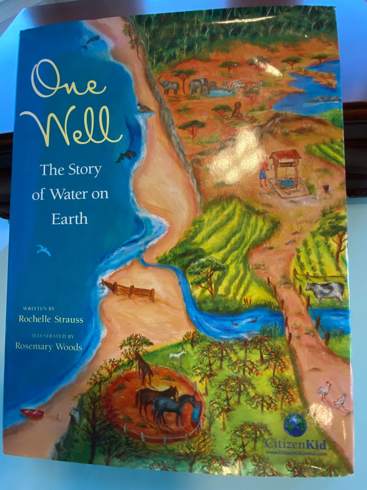 One Well:  The Story of Water on Earth Strauss, Rochelle