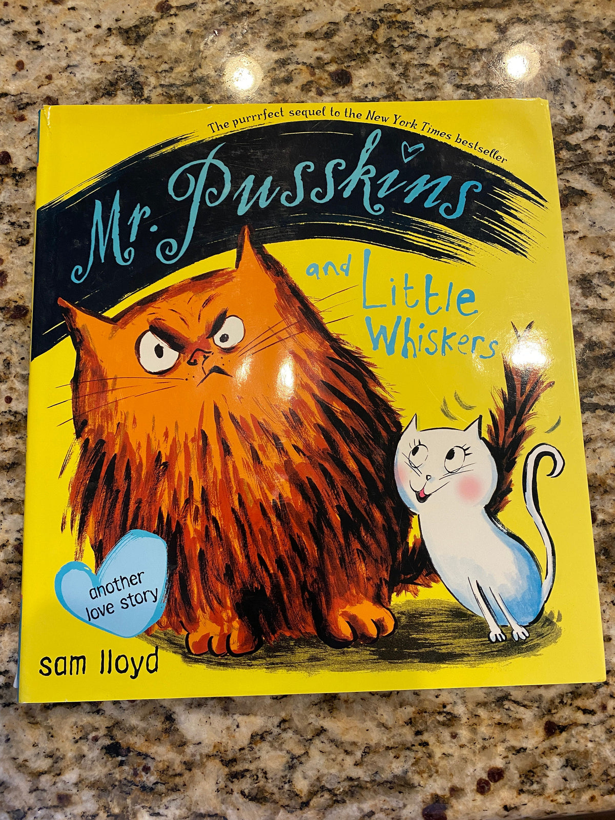 Mr. Pusskins and Little Whiskers: Another Love Story by Sam Lloyd (English) Hard
