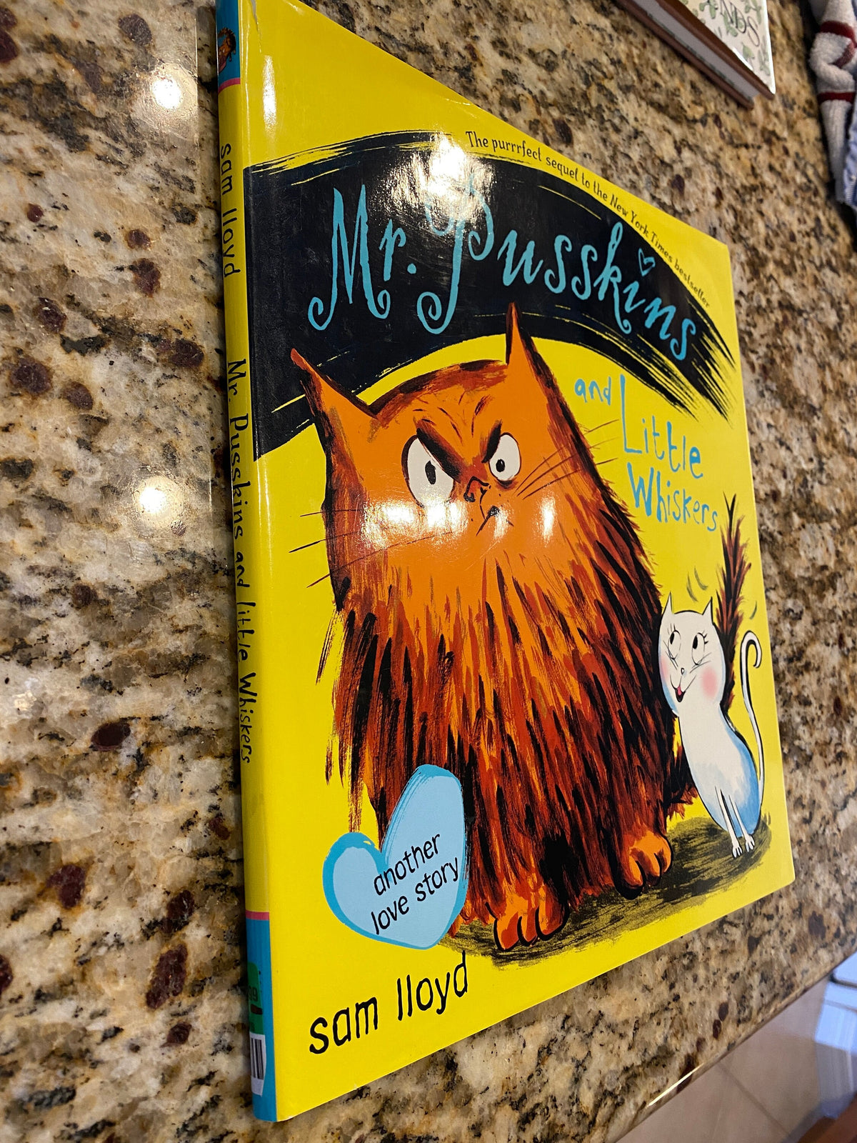 Mr. Pusskins and Little Whiskers: Another Love Story by Sam Lloyd (English) Hard