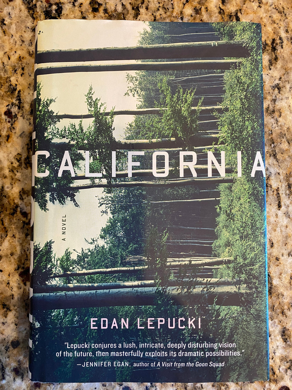 California: A Novel By Edan Lepucki  Read by Emma Galvin