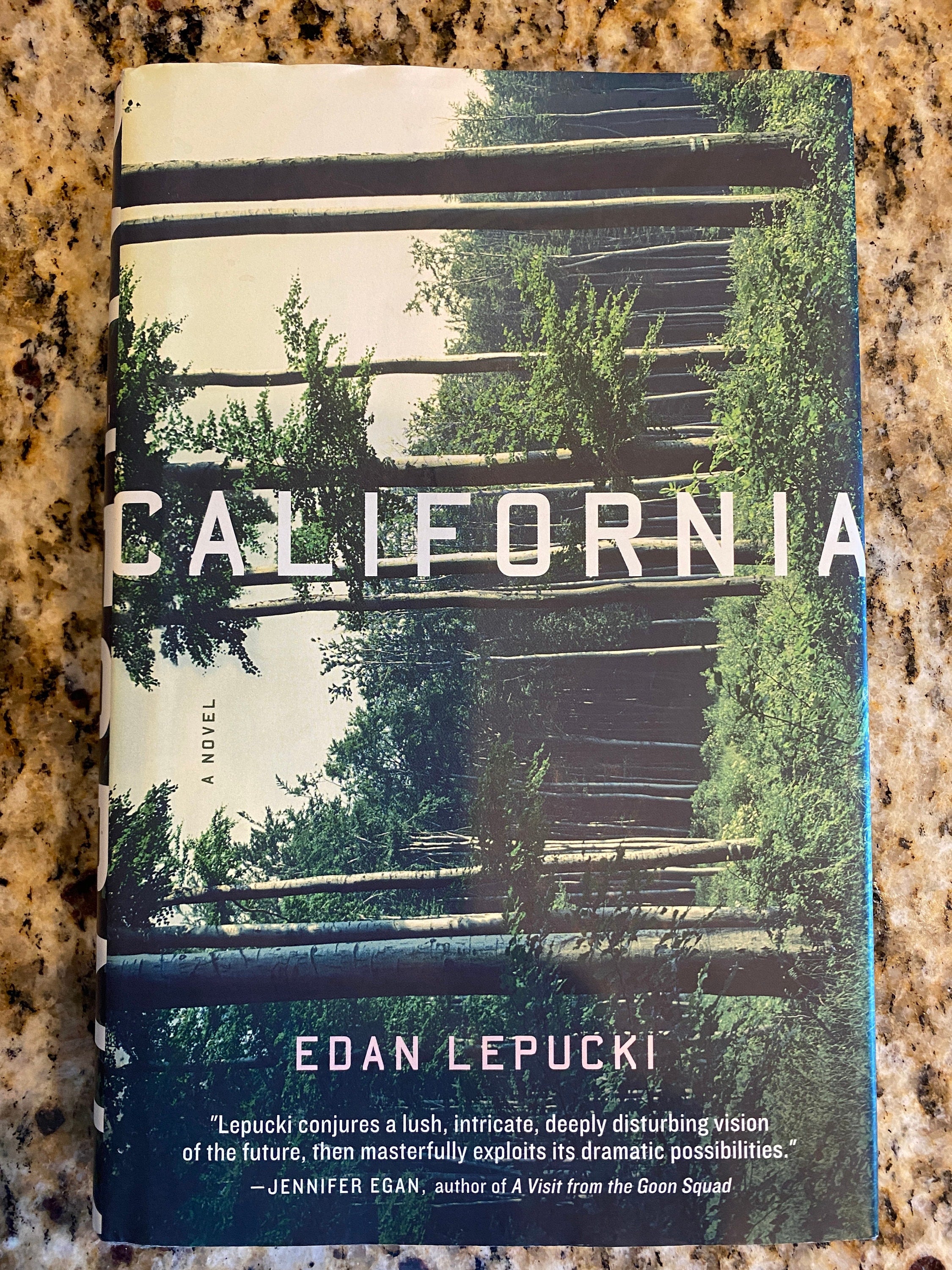 California: A Novel By Edan Lepucki  Read by Emma Galvin