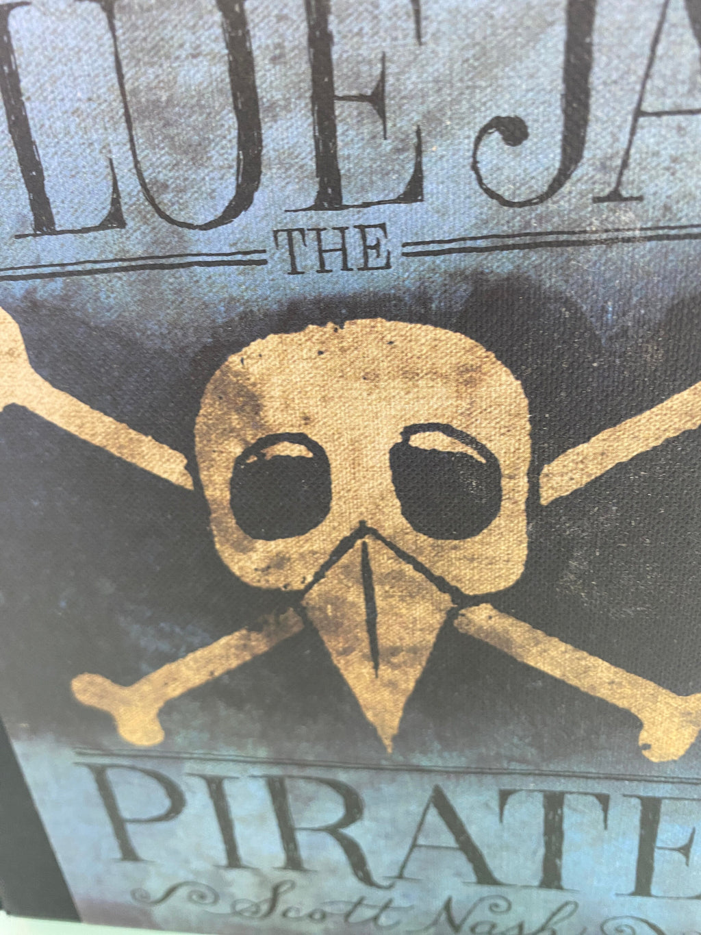 The High Skies Adventures of Blue Jay the Pirate by Scott Nash (English) Hardcover