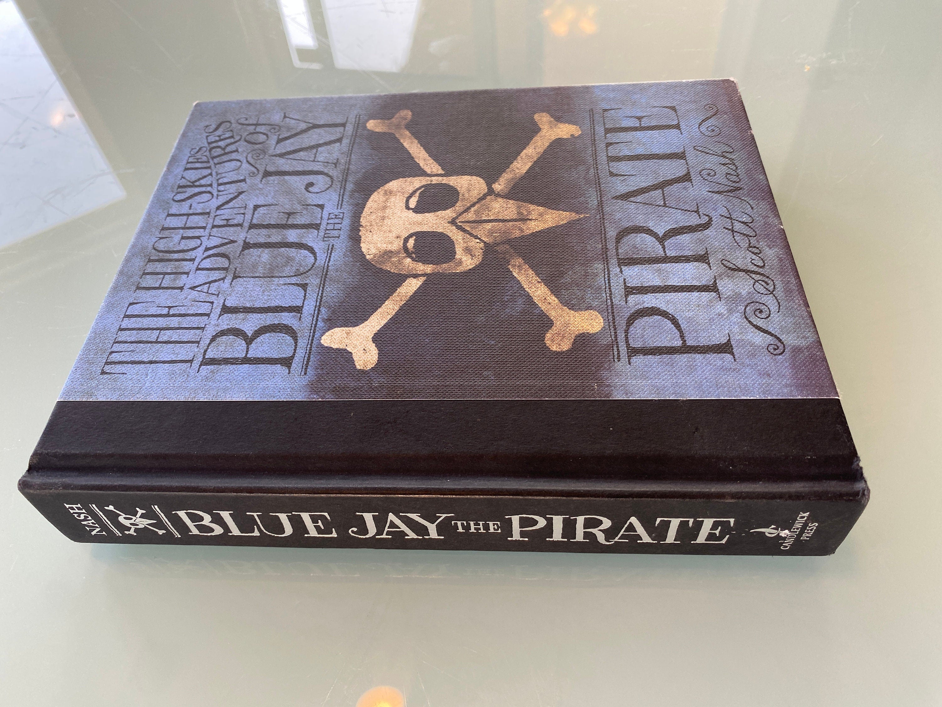 The High Skies Adventures of Blue Jay the Pirate by Scott Nash (English) Hardcover