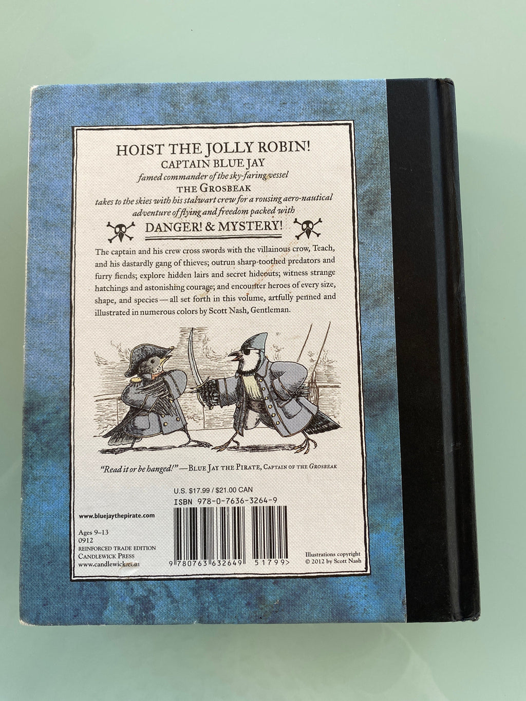 The High Skies Adventures of Blue Jay the Pirate by Scott Nash (English) Hardcover