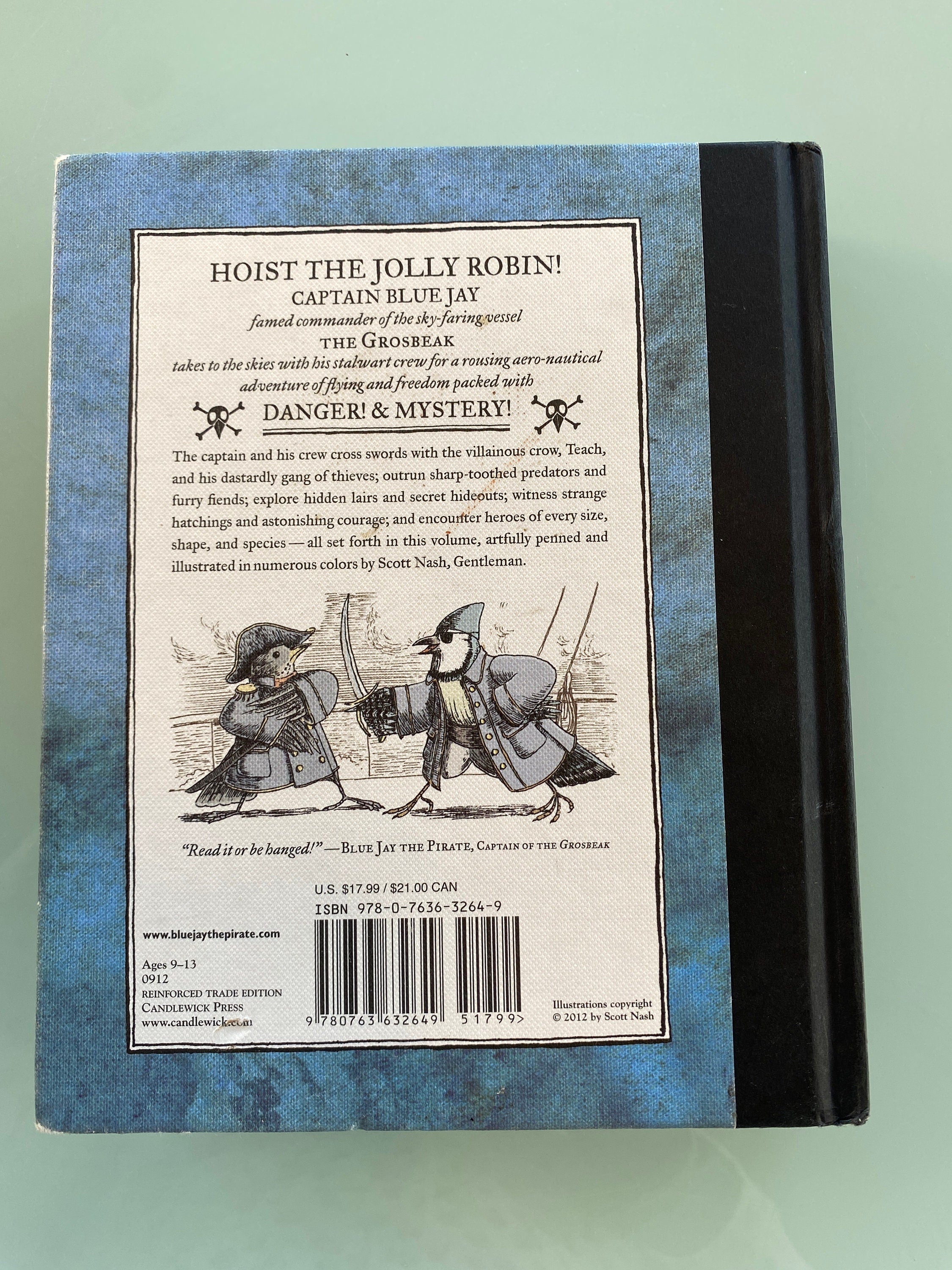 The High Skies Adventures of Blue Jay the Pirate by Scott Nash (English) Hardcover