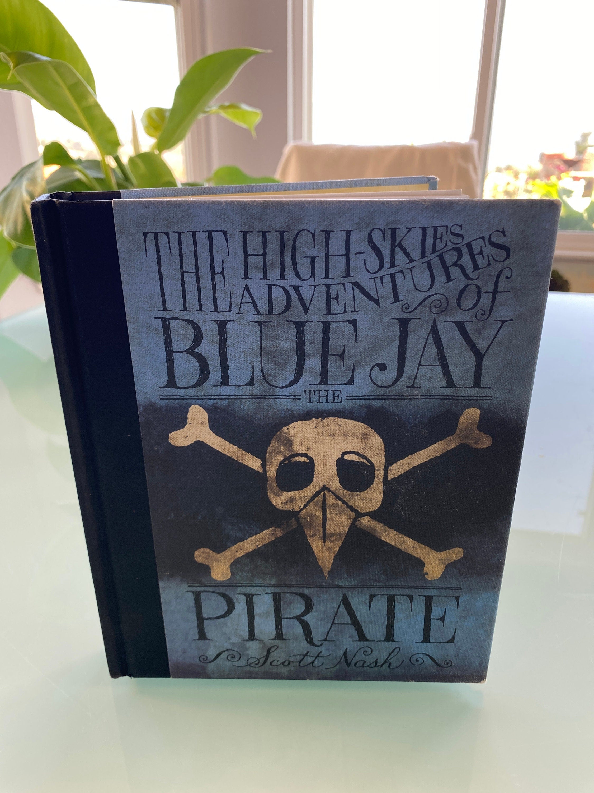 The High Skies Adventures of Blue Jay the Pirate by Scott Nash (English) Hardcover