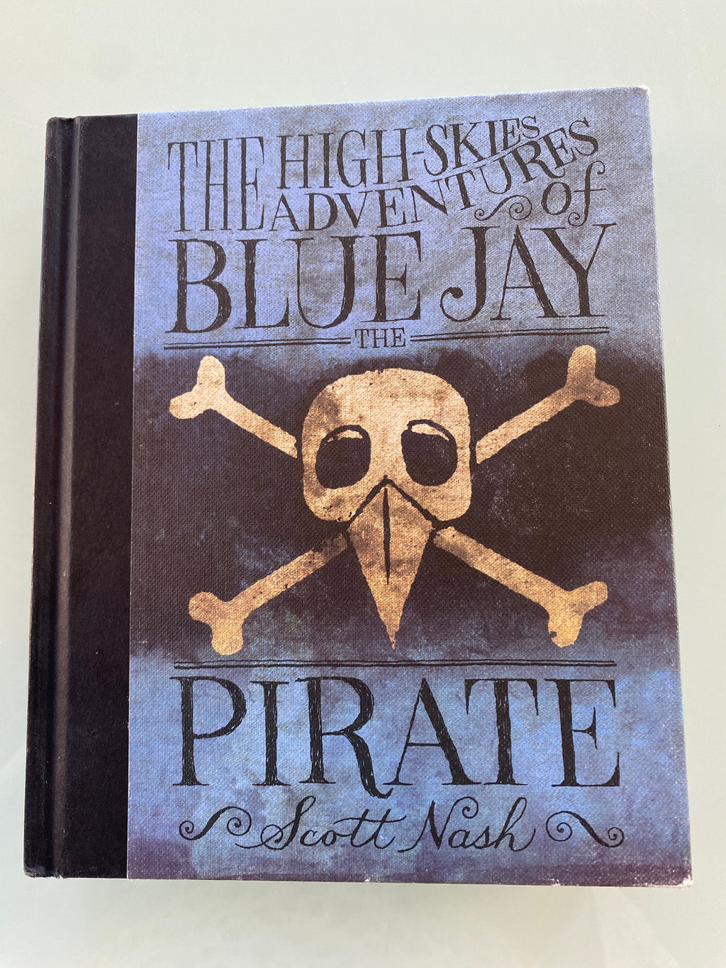 The High Skies Adventures of Blue Jay the Pirate by Scott Nash (English) Hardcover