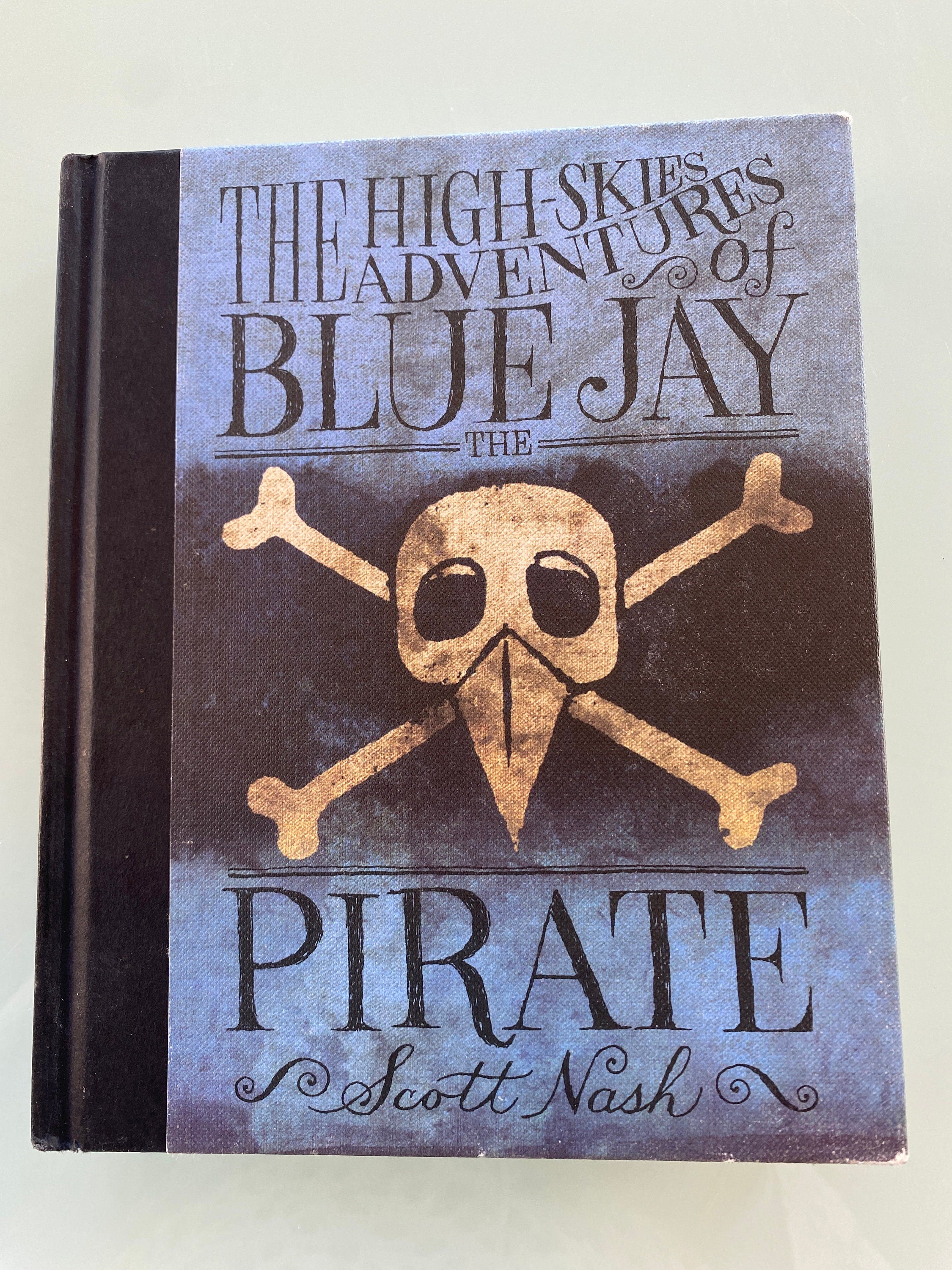 The High Skies Adventures of Blue Jay the Pirate by Scott Nash (English) Hardcover