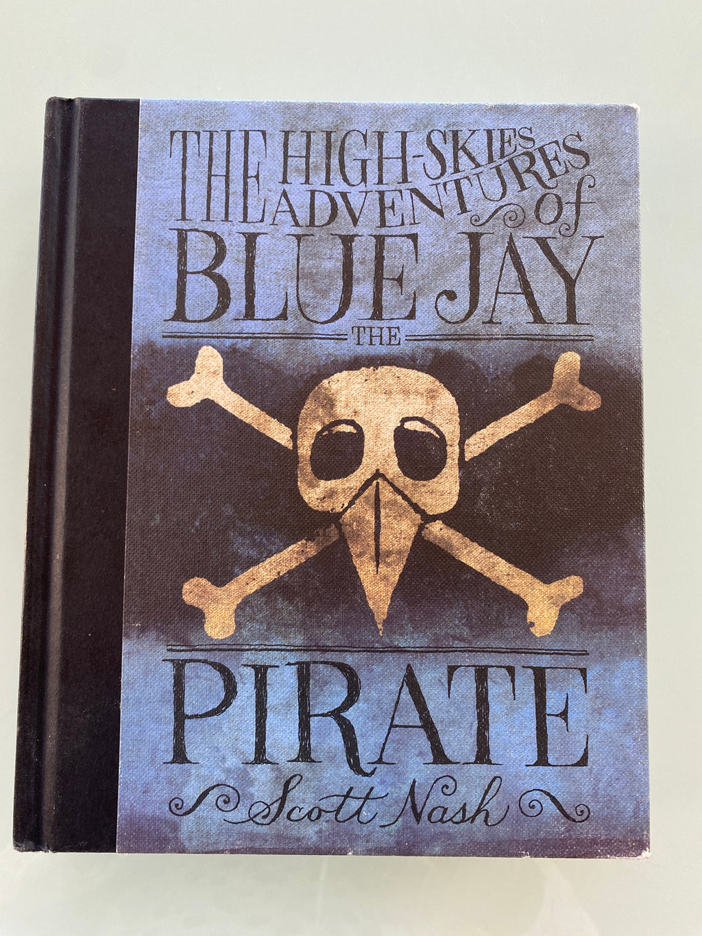 The High Skies Adventures of Blue Jay the Pirate by Scott Nash (English) Hardcover