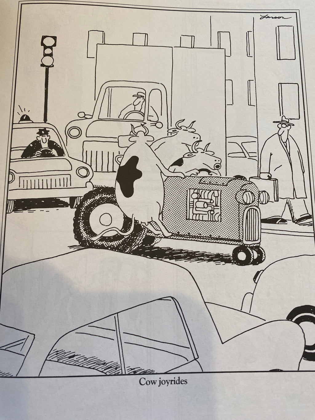 THE FAR SIDE 3