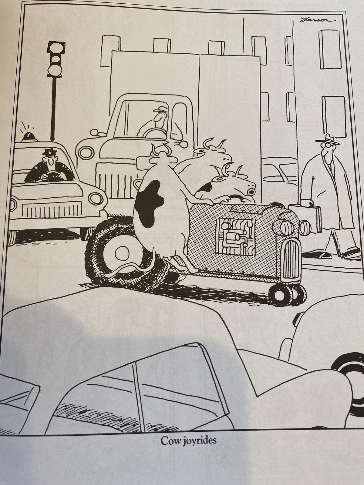 THE FAR SIDE 3