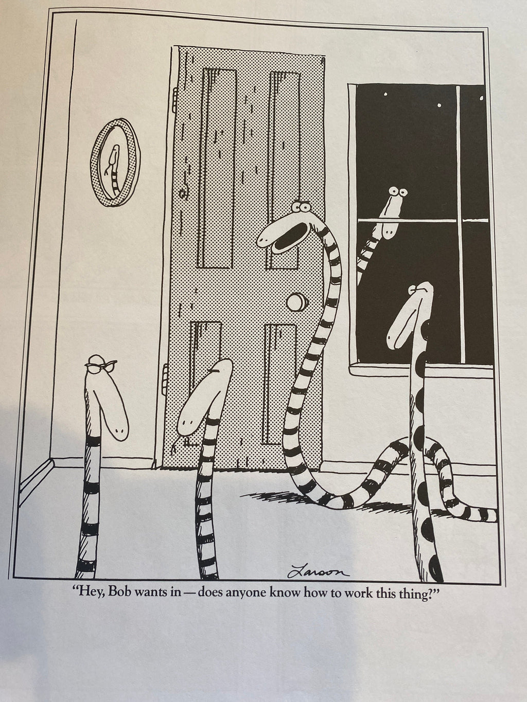 THE FAR SIDE 3
