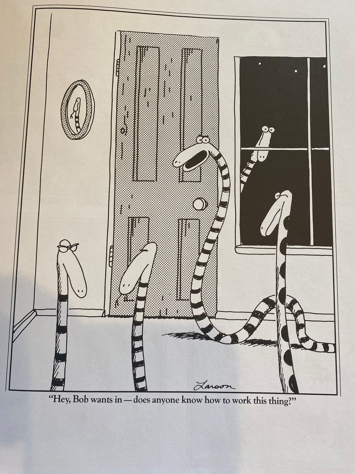 THE FAR SIDE 3
