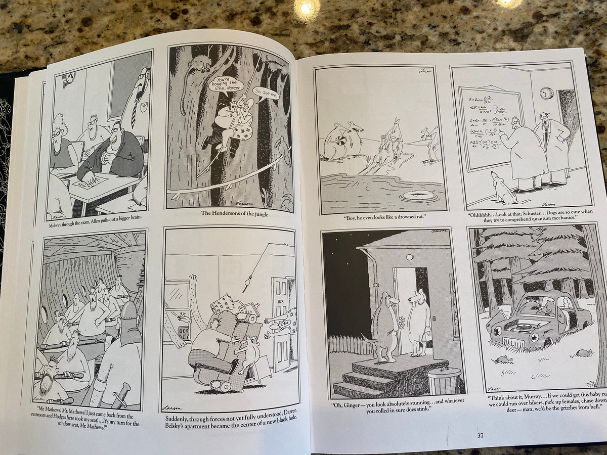 THE FAR SIDE 3
