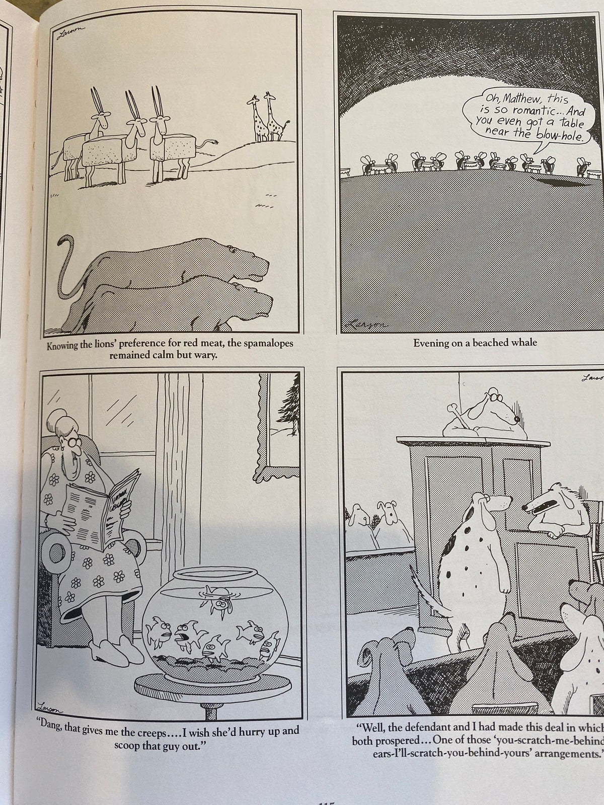 THE FAR SIDE 3