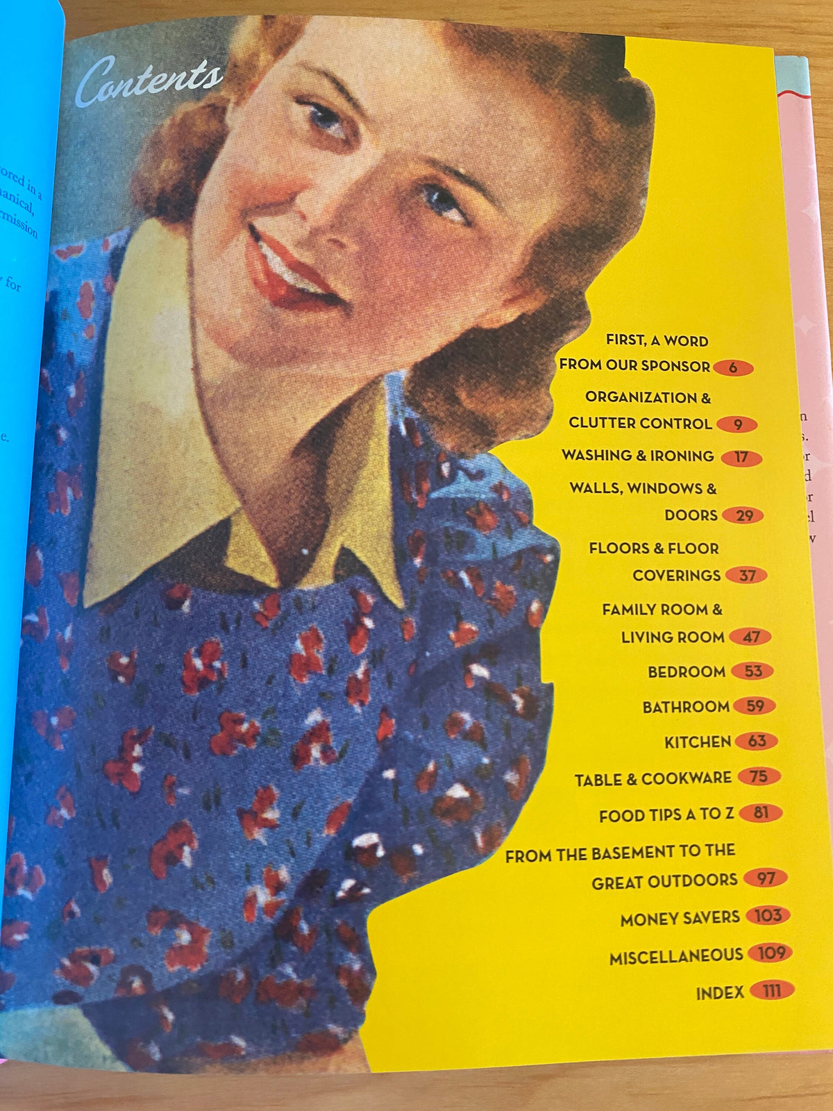 Classic Household Hints: Over 500 Old and New Tips for a Happier Home Hardcover –