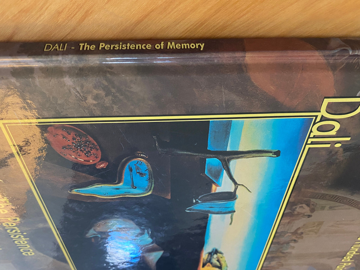 One Hundred Paintings - DALI The Persistence of Memory:  by Frederico Zeri  1998