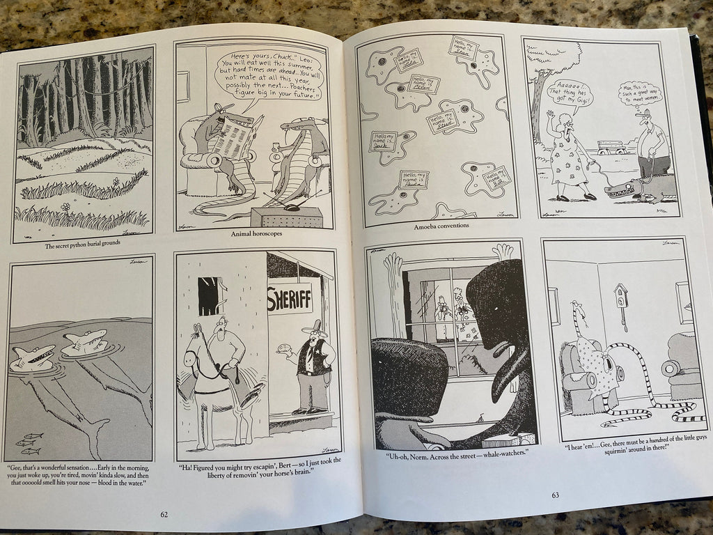 THE FAR SIDE 3