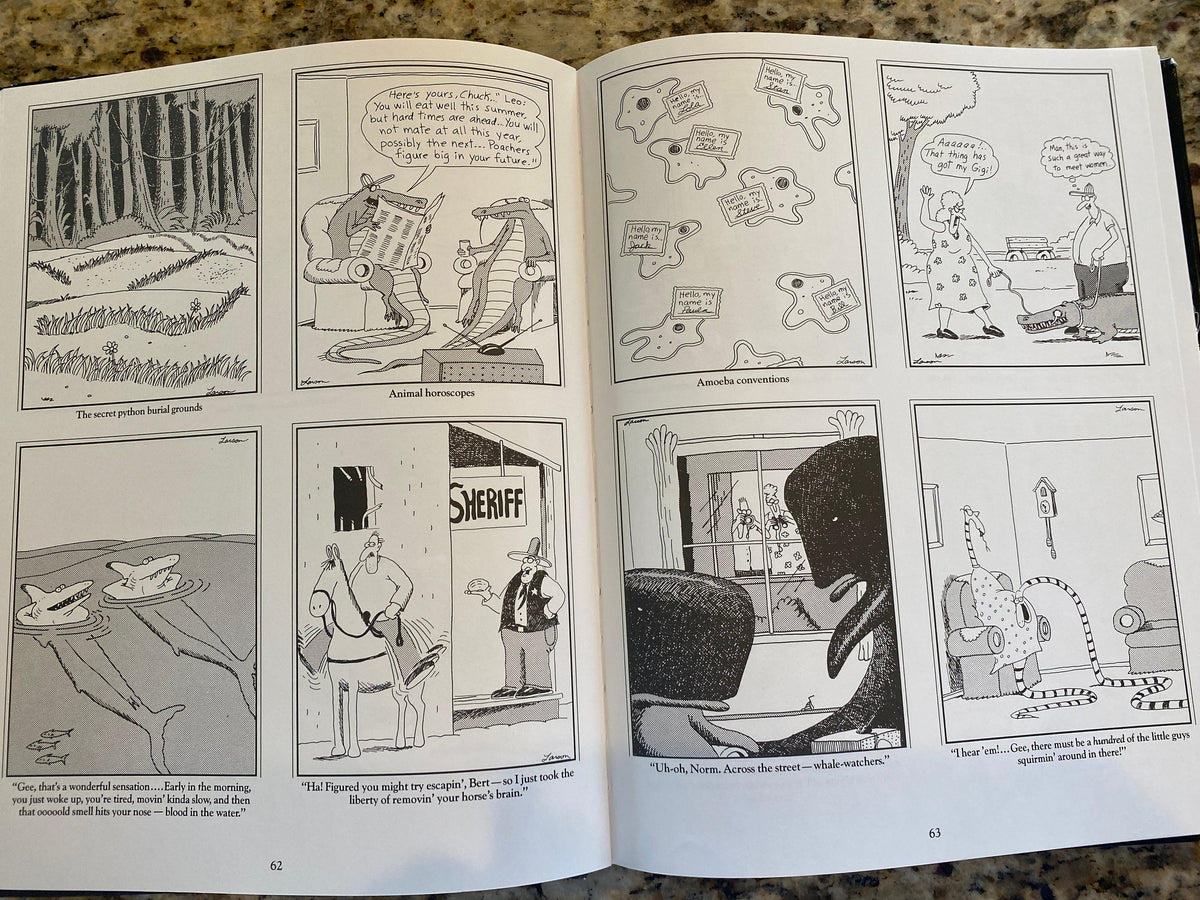 THE FAR SIDE 3