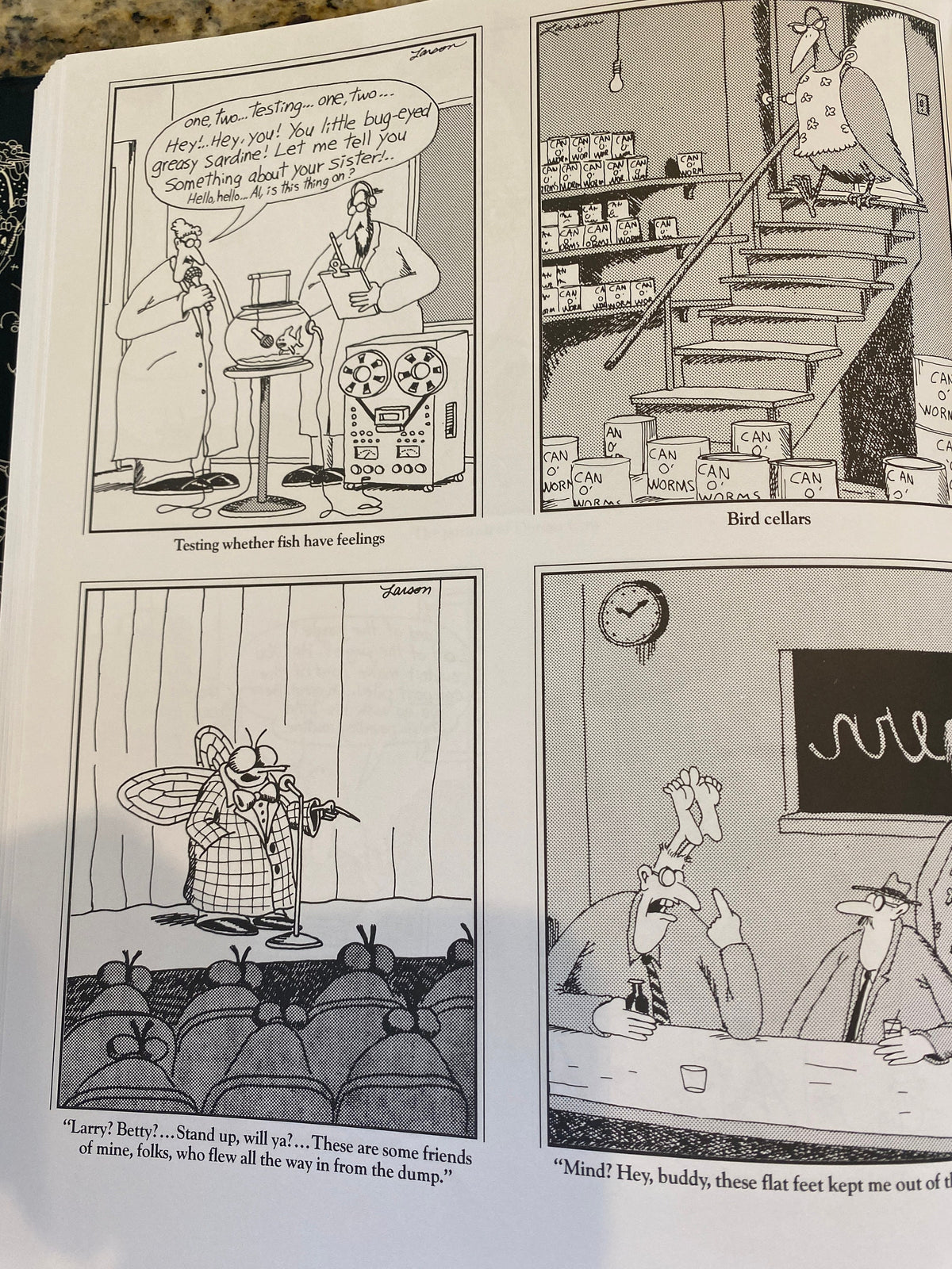 THE FAR SIDE 3