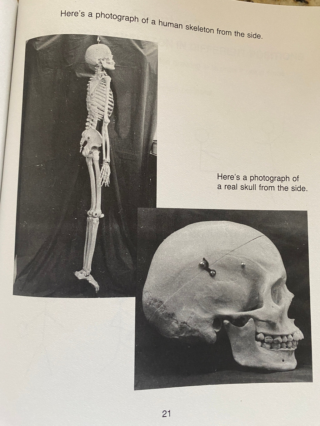 Rattle Your Bones: Skeleton Drawing Fun, 1992 Paperback