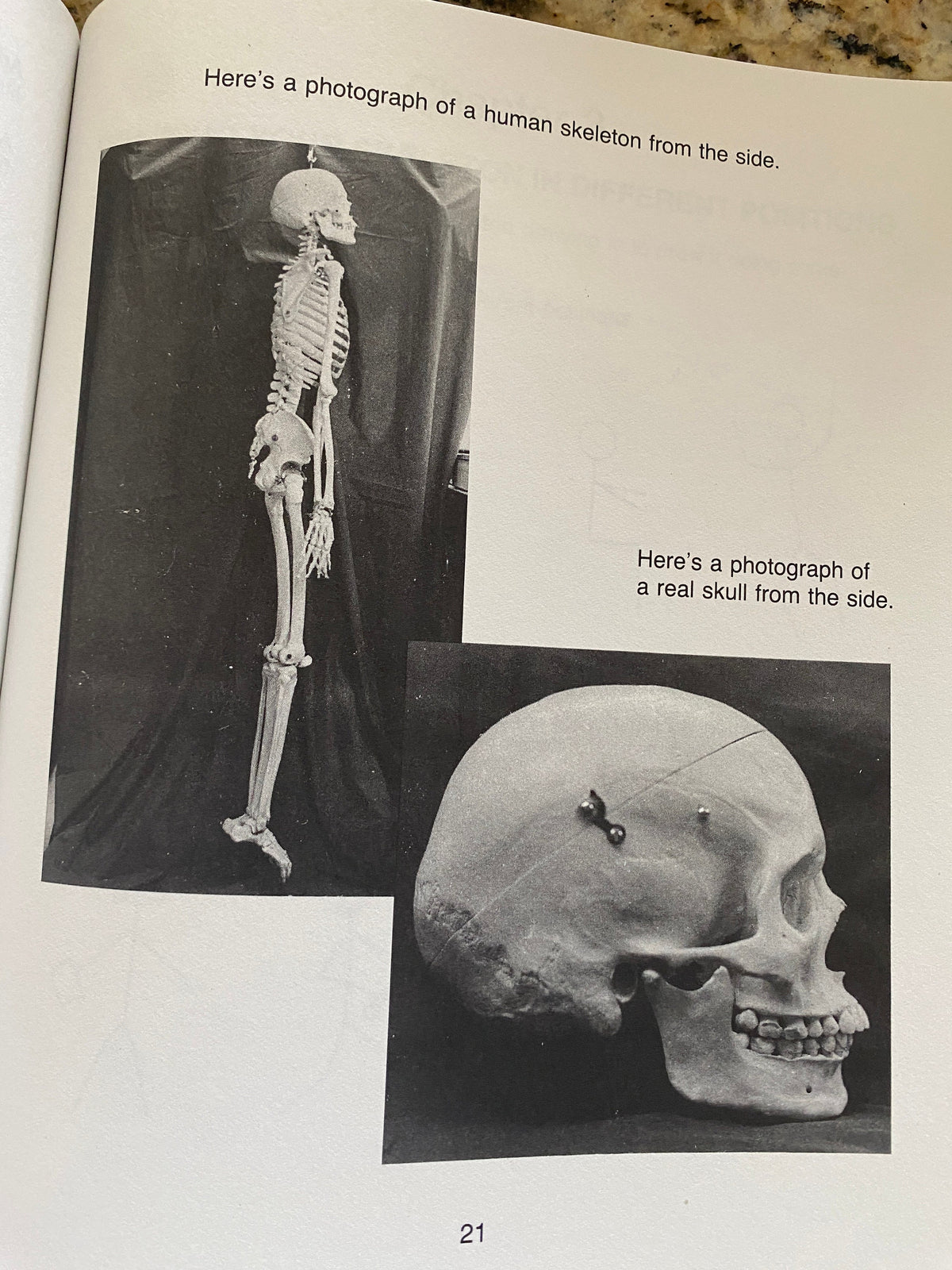 Rattle Your Bones: Skeleton Drawing Fun, 1992 Paperback
