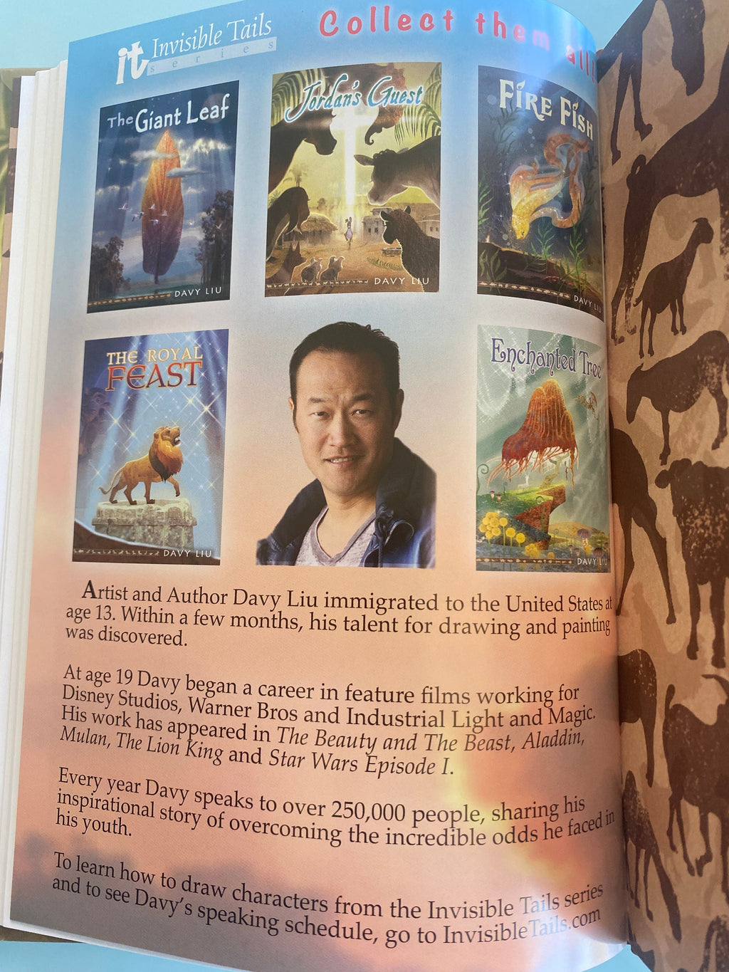 Jordan's Guest Davy LIU Childrens Book Religious Christian