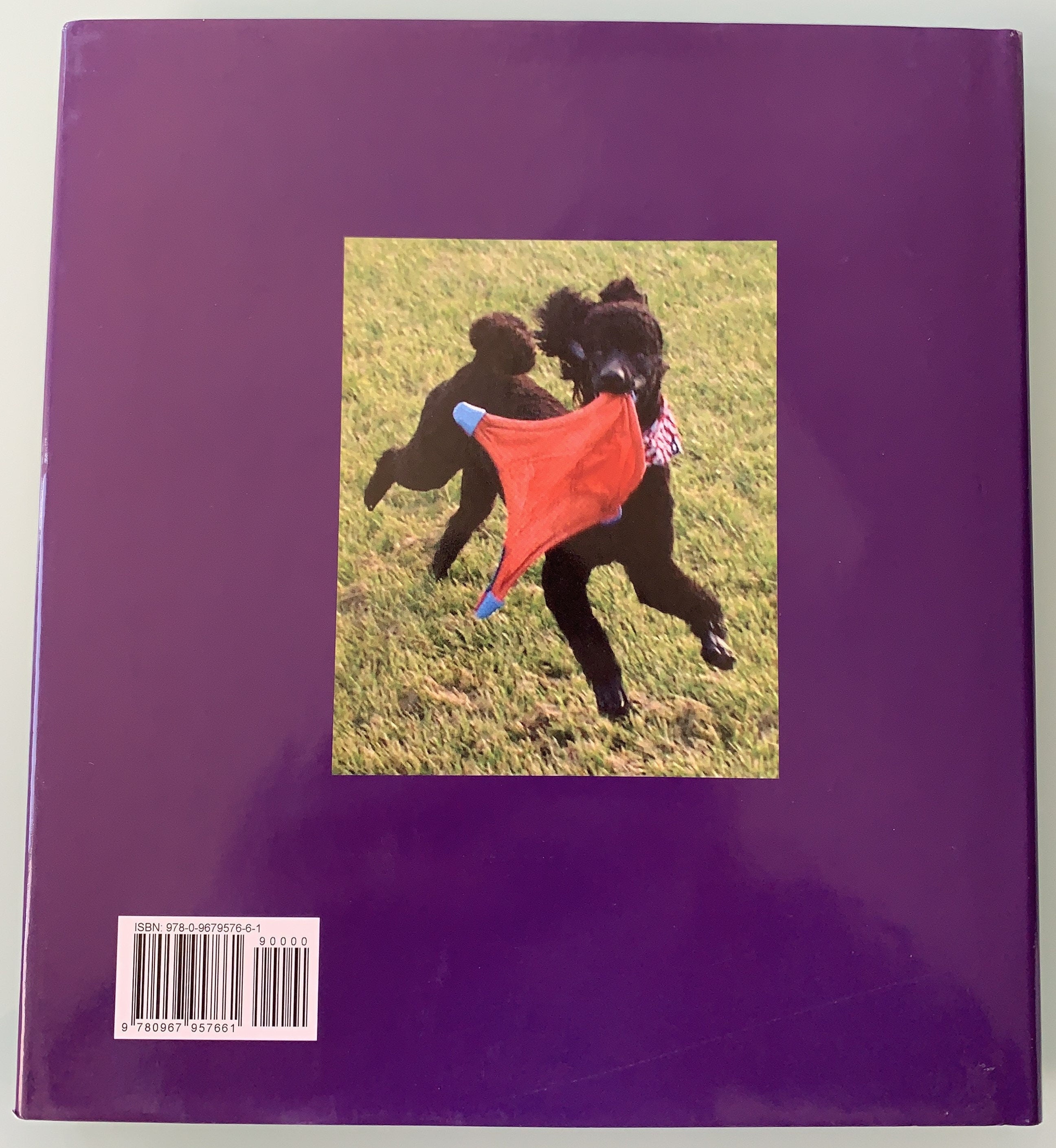 What About Me? - I'm Here Too! - Cathy Conheim- Signed First Edition