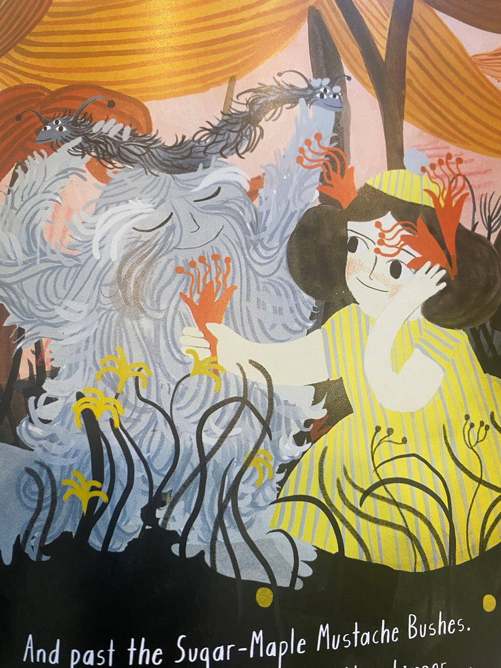 Alma and the Beast ESME SHAPIRO Book