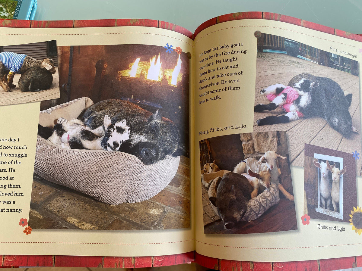 Piney the Goat Nanny tells the true story:  Leanna Lauricella