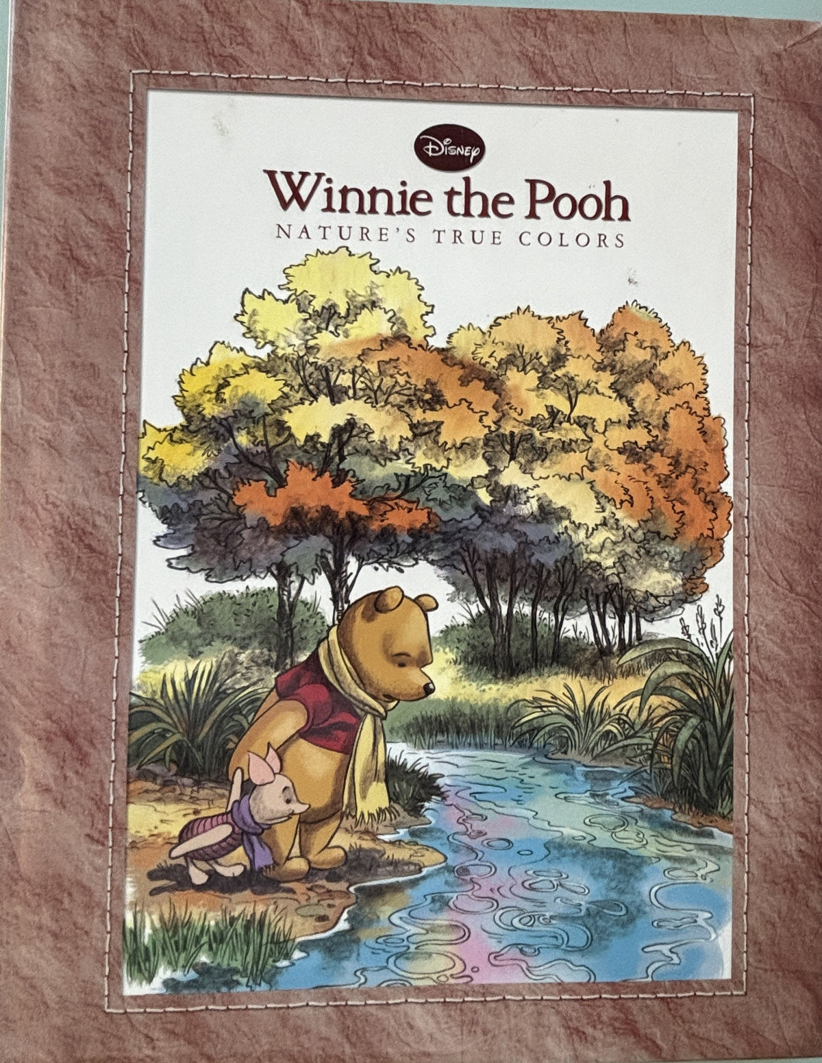 Winnie the Pooh - Nature's True Colors - ** 1st Edition **   2010