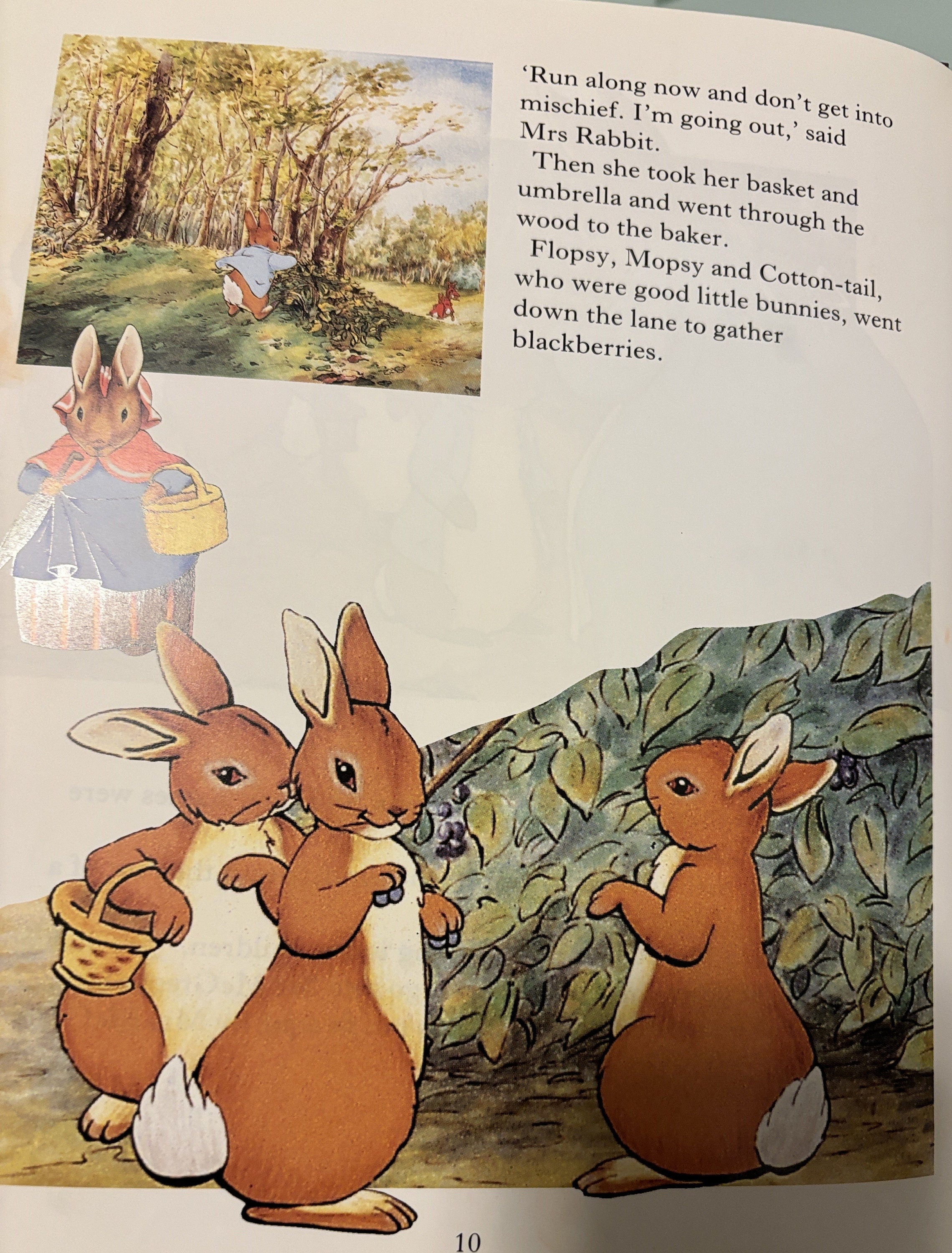 The World of Peter Rabbit and Friends - Bedtime Story Book - Beatrix Potter - 1st Edition 1994