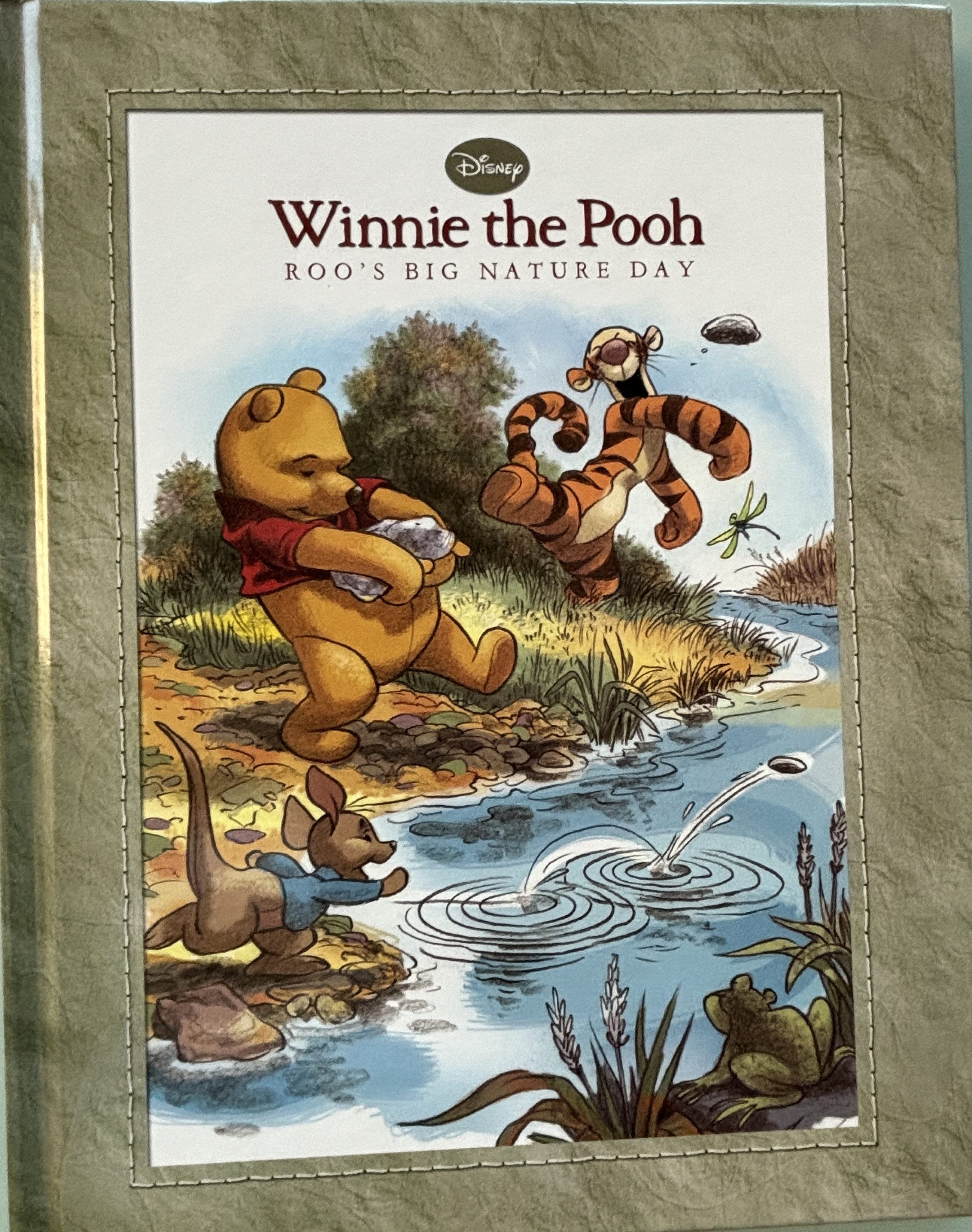 Winnie the Pooh - Roo's Big Nature Day  **  1st Edition  **