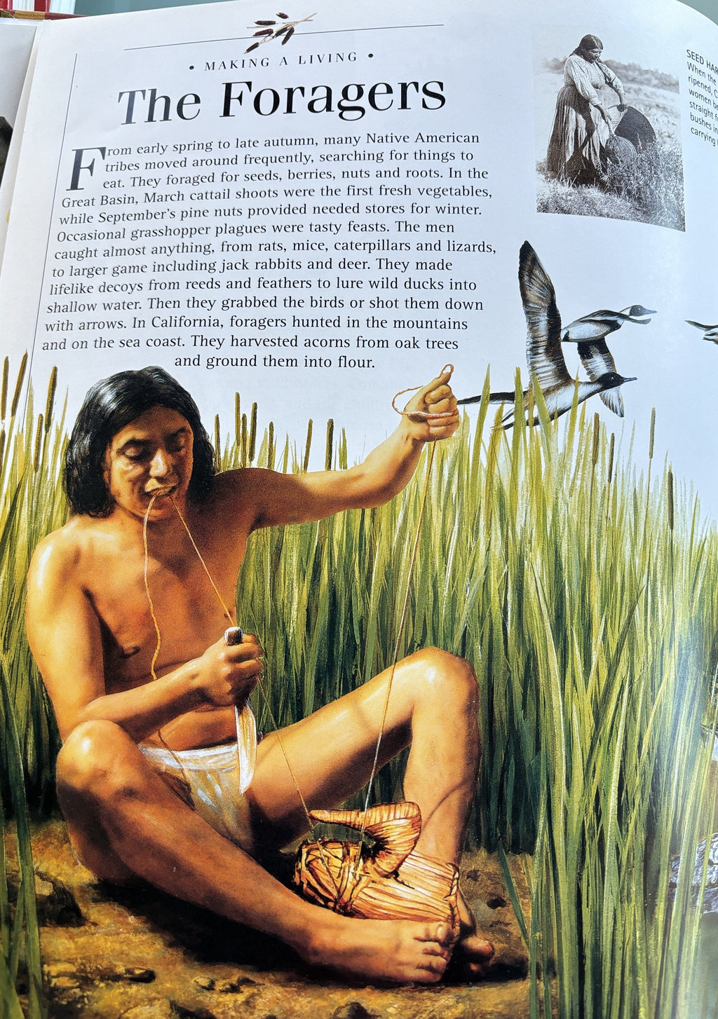 Native Americans Hardcover Book - Nature Company Discoveries Library