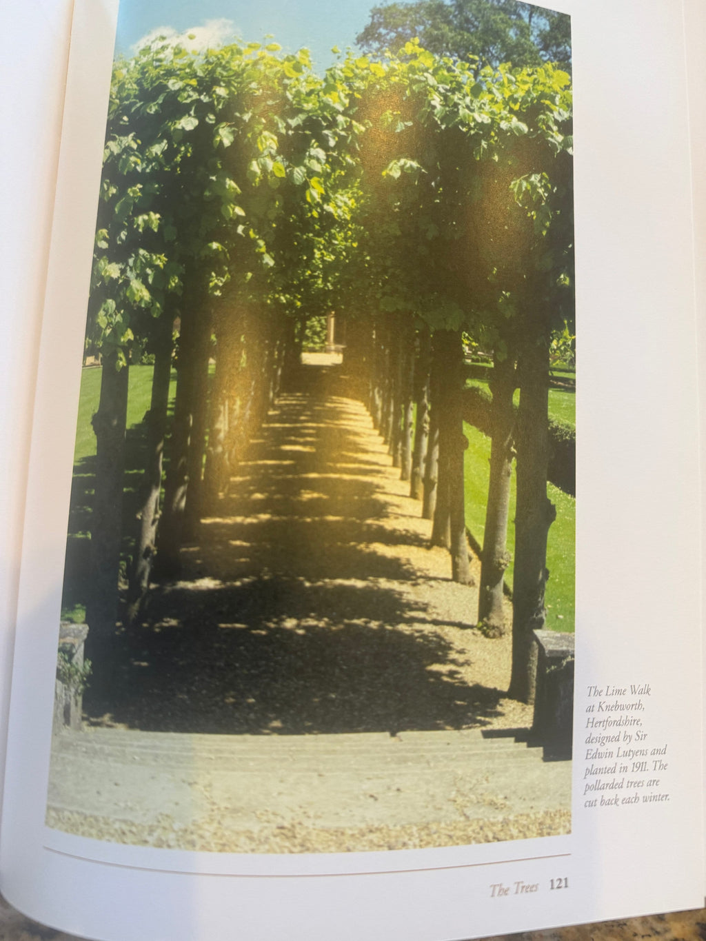 A Passion for Trees: John Evelyn Legacy, Hardcover Book