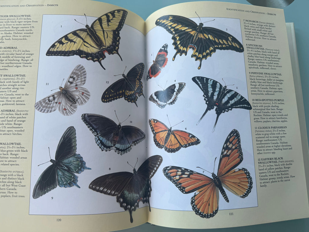 Your Backyard Wildlife Garden Book: Attract and Identify Wildlife, 1992 Edition