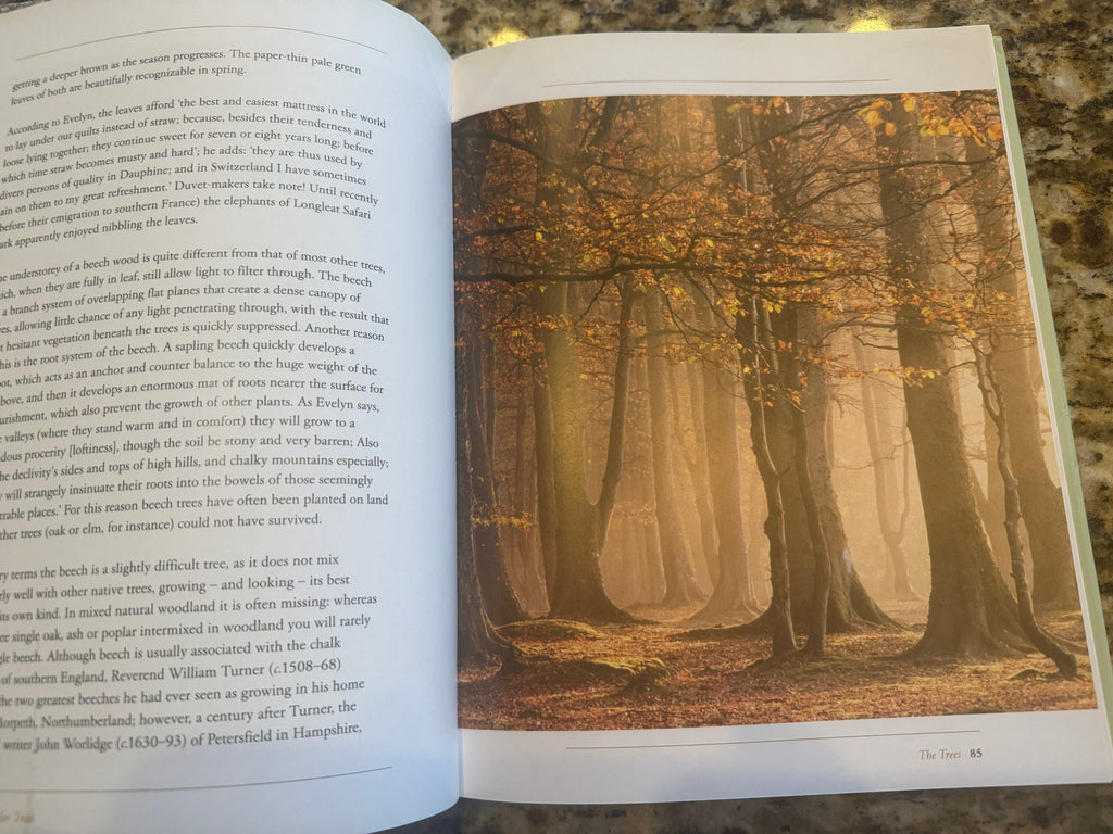 A Passion for Trees: John Evelyn Legacy, Hardcover Book
