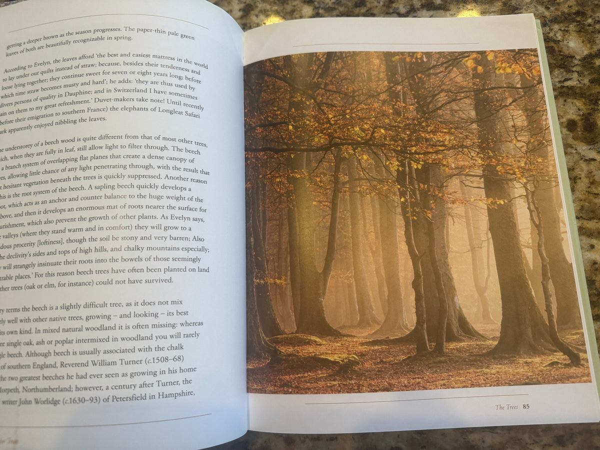 A Passion for Trees: John Evelyn Legacy, Hardcover Book