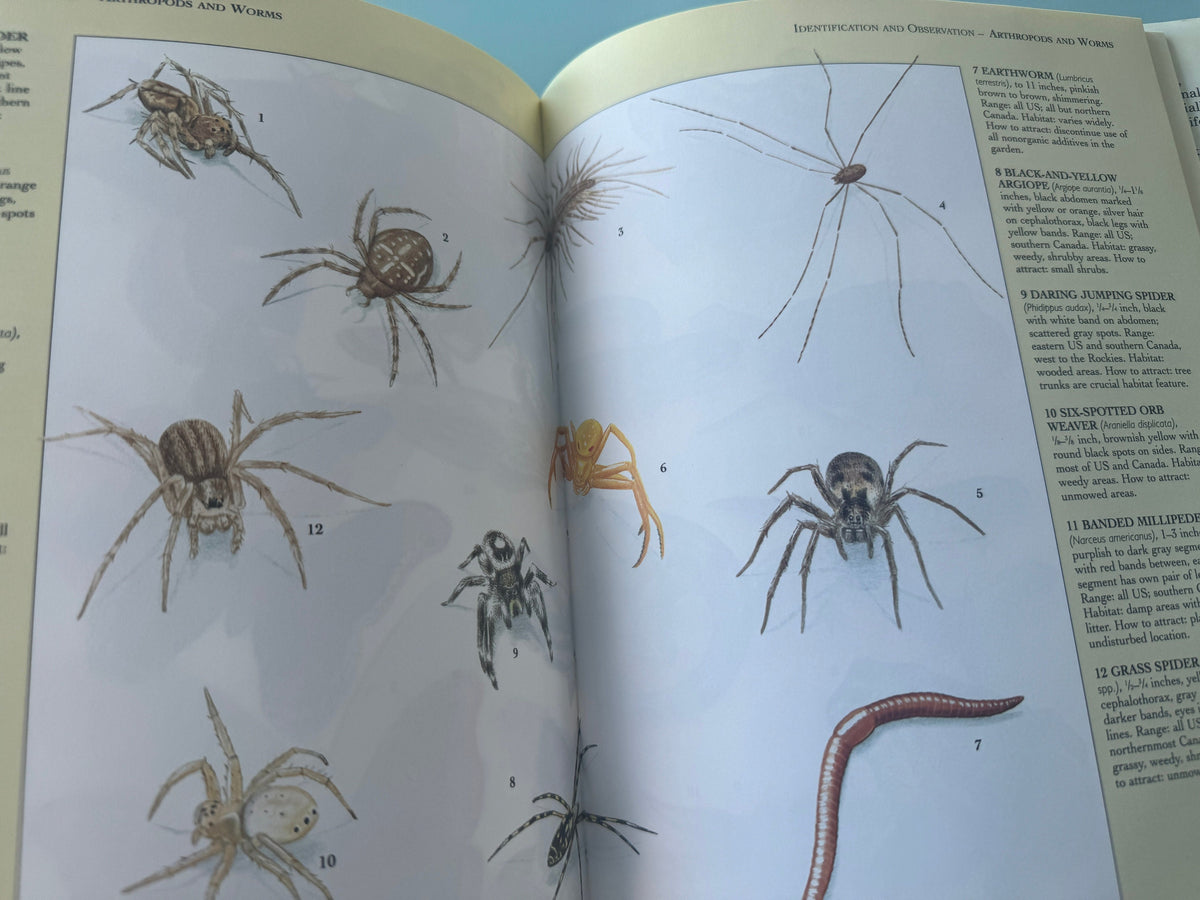Your Backyard Wildlife Garden Book: Attract and Identify Wildlife, 1992 Edition