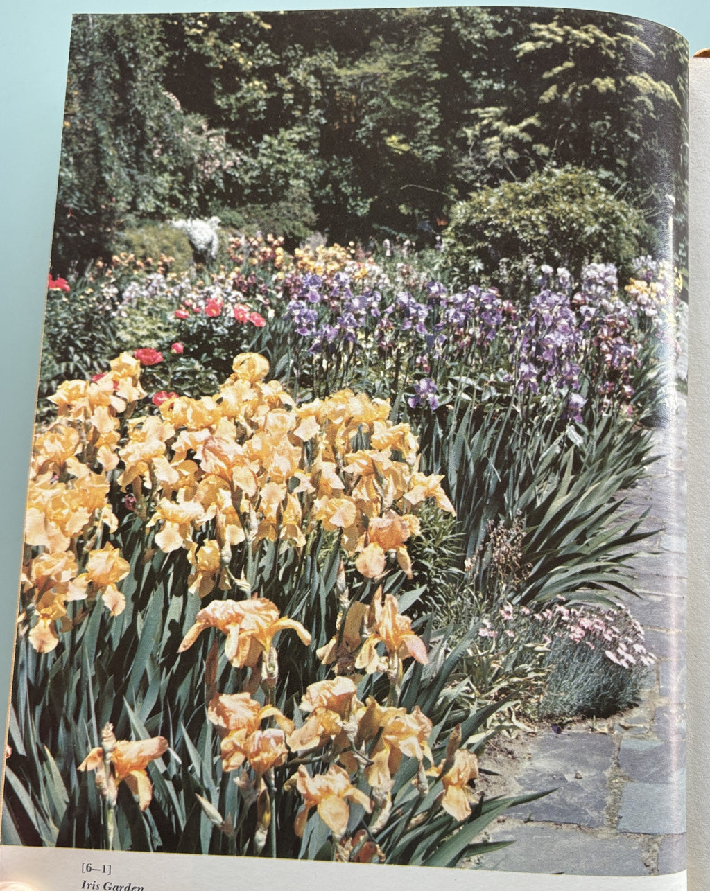 Encyclopedia of Gardening - New Illustraded - 1960