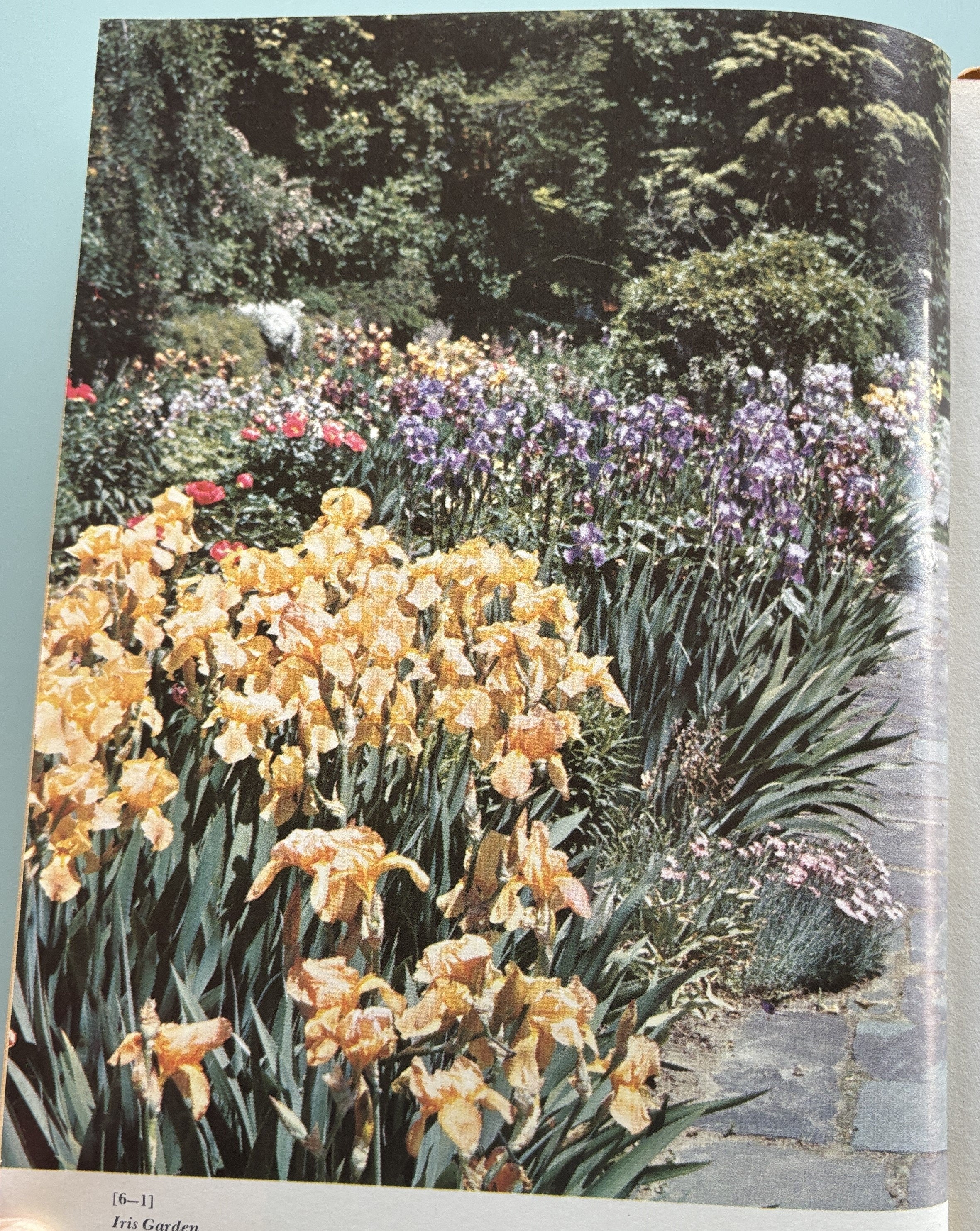 Encyclopedia of Gardening - New Illustraded - 1960