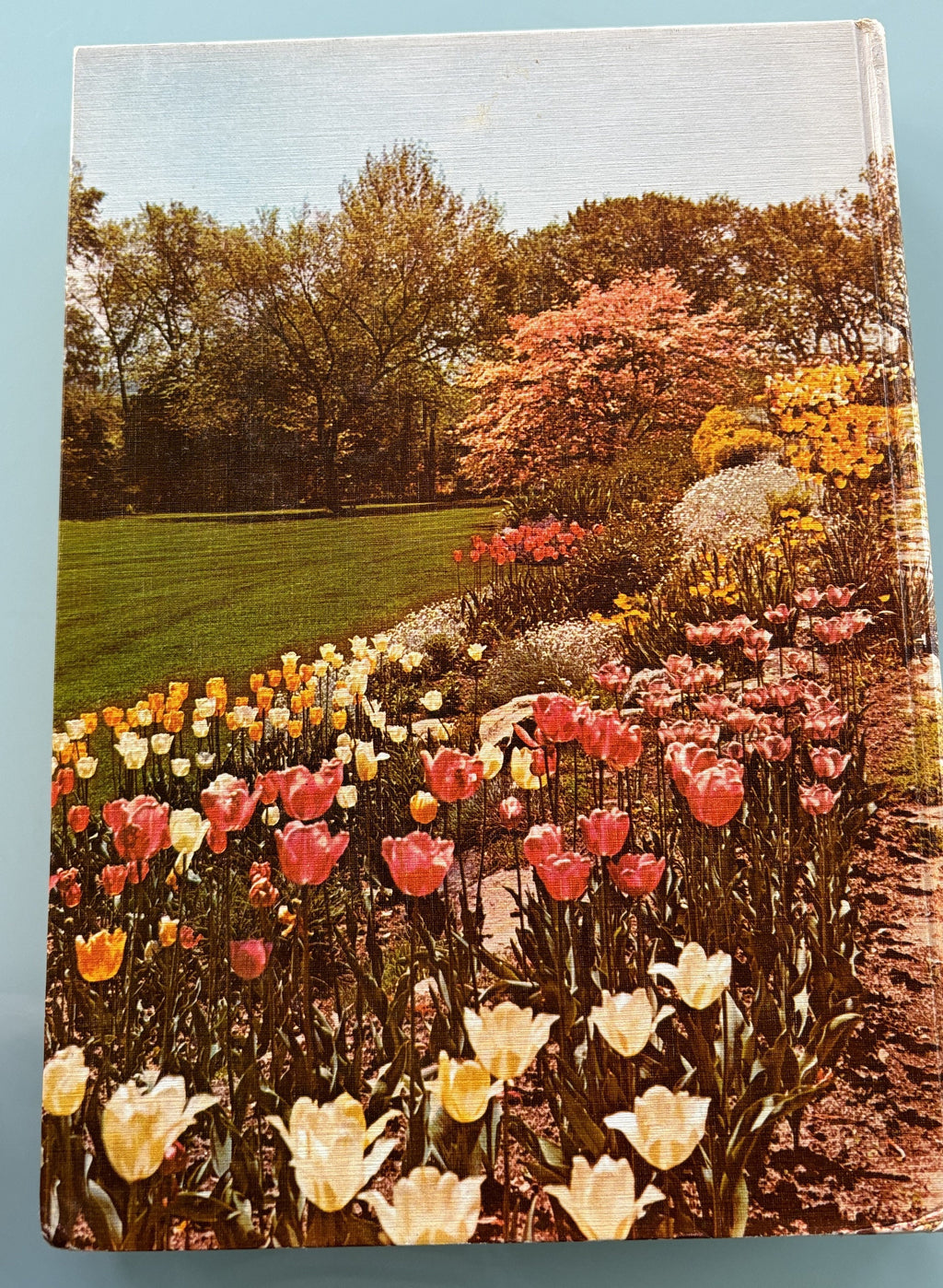 Encyclopedia of Gardening - New Illustraded - 1960