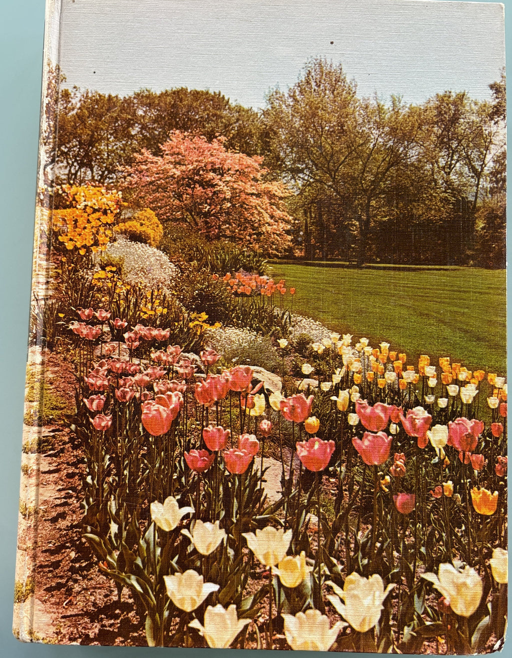 Encyclopedia of Gardening - New Illustraded - 1960