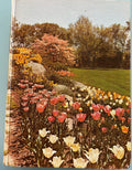 Encyclopedia of Gardening - New Illustraded - 1960