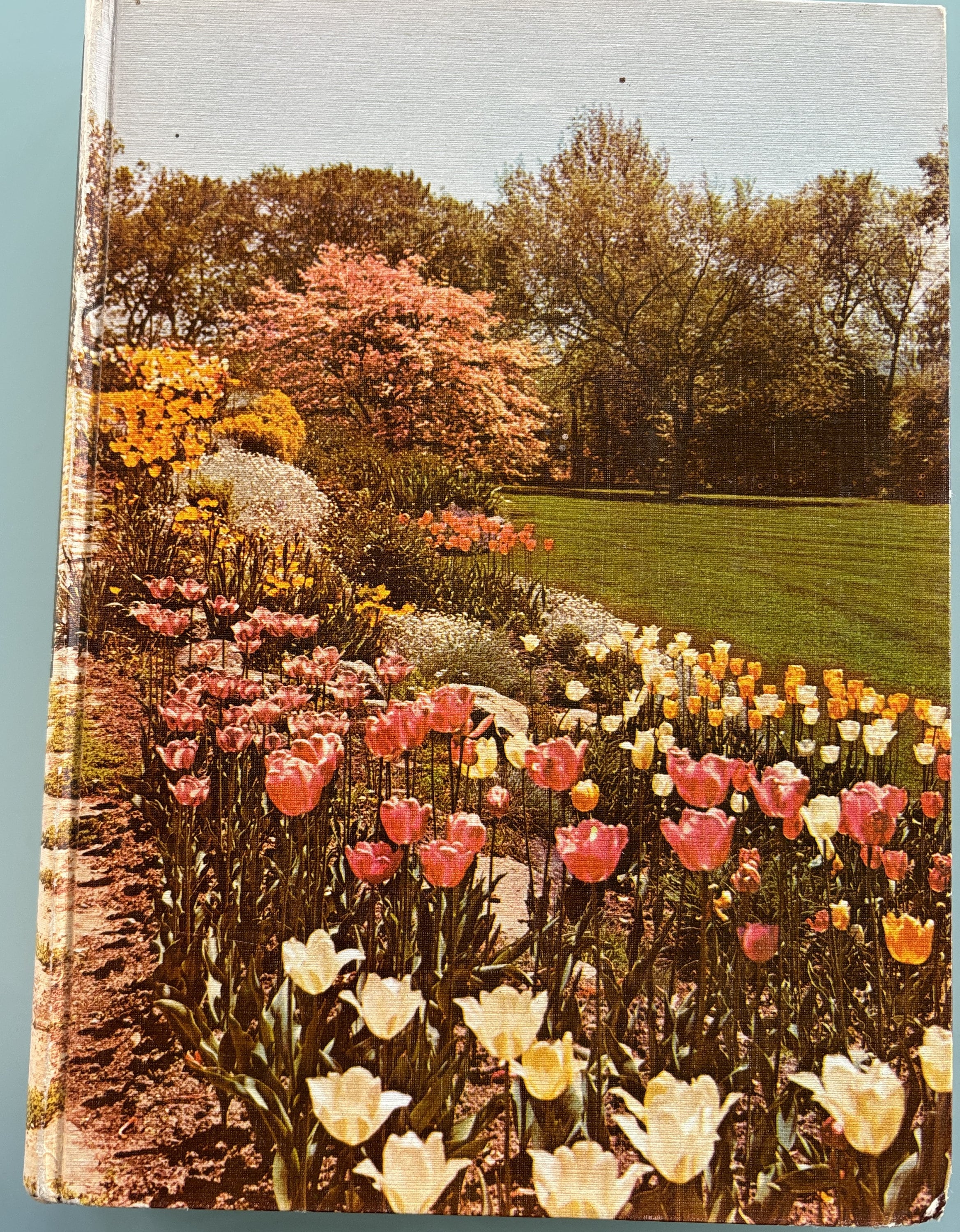 Encyclopedia of Gardening - New Illustraded - 1960