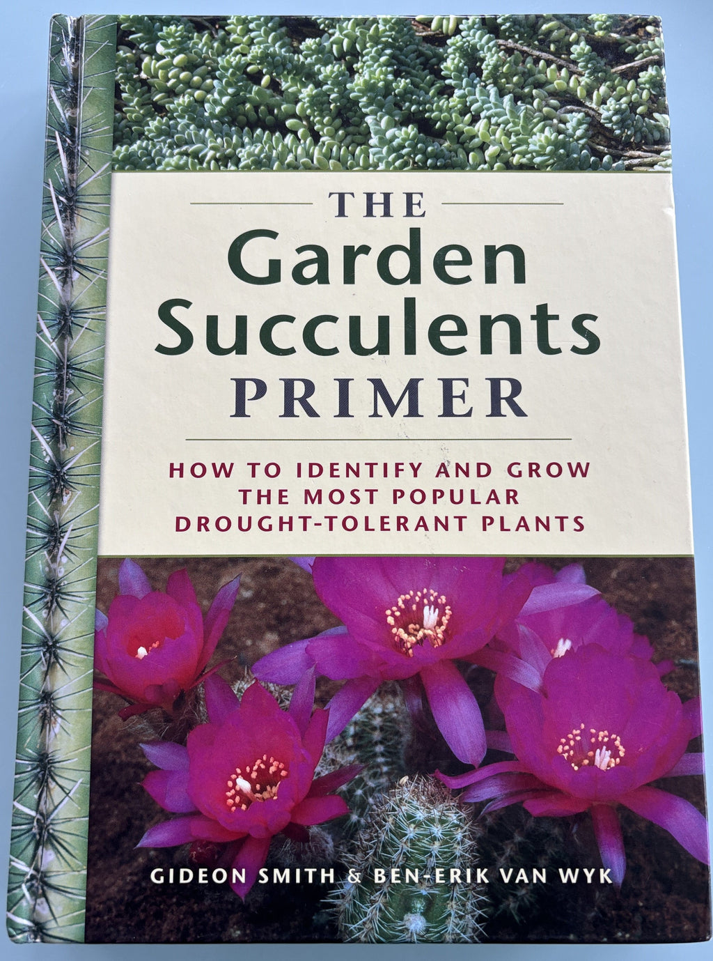 The Garden Succulents Primer