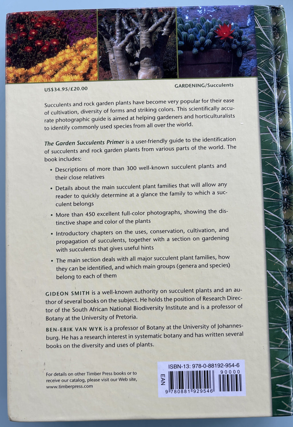 The Garden Succulents Primer