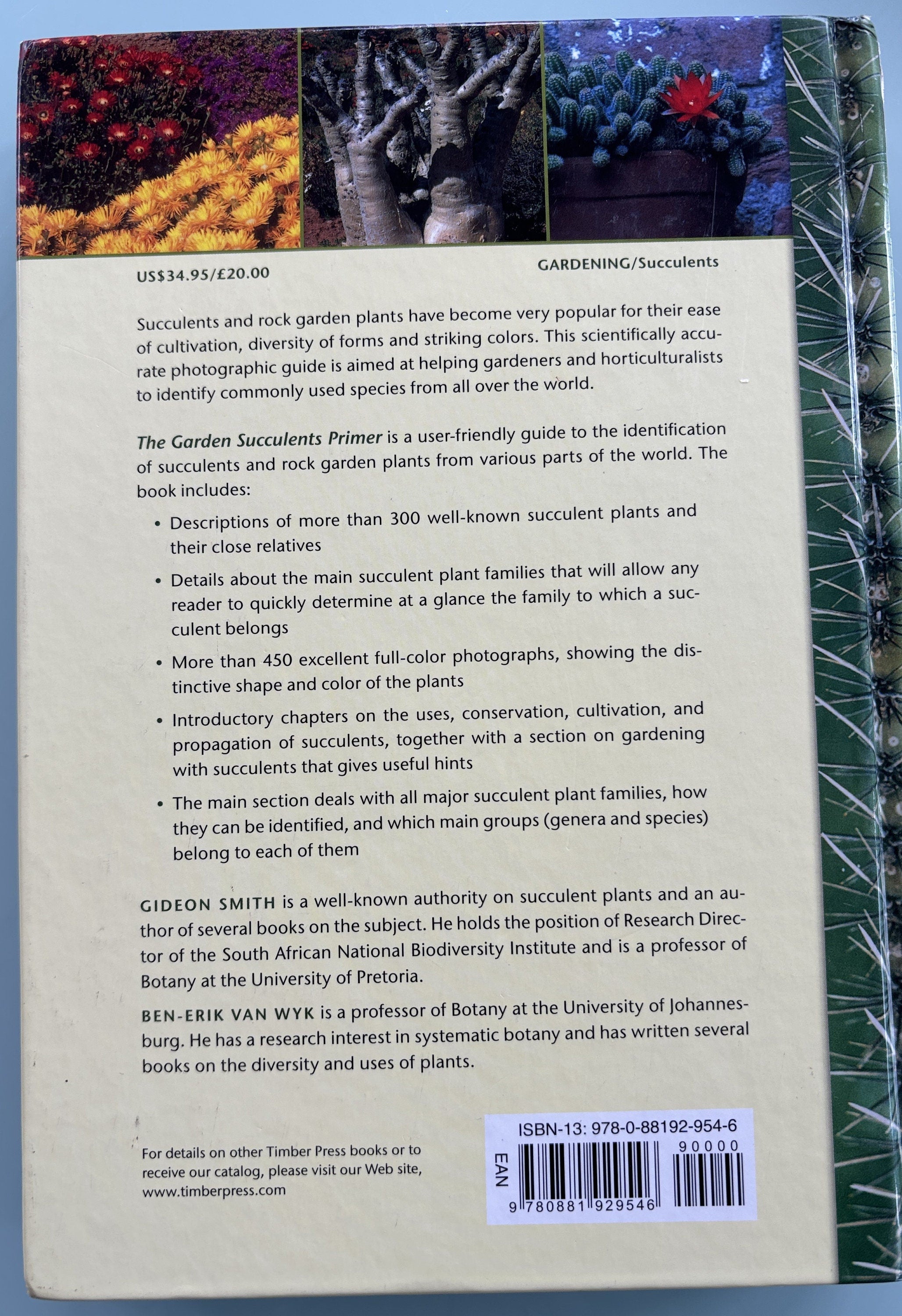 The Garden Succulents Primer