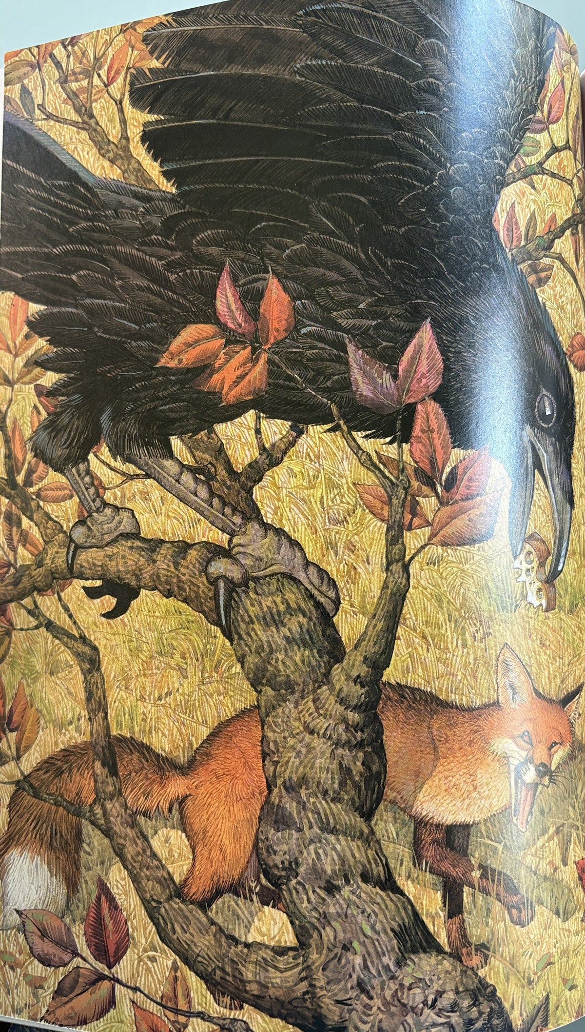 Classic Children's Storybook Collection by Don Daily